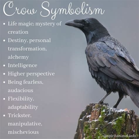 Pin by D.H. Williamson on Crebain | Crow spirit animal, Spirit animal meaning, Animal meanings