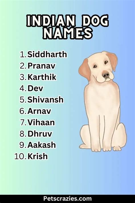 200+ Indian Dog Names - Vibrant And Unique Ideas