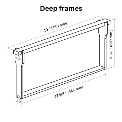 Deep Frames - In the heart of the hive