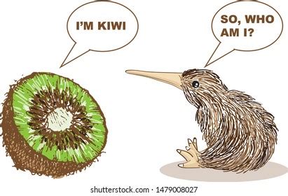 388 Kiwi bird sketch Gambar, Foto Stok & Vektor | Shutterstock