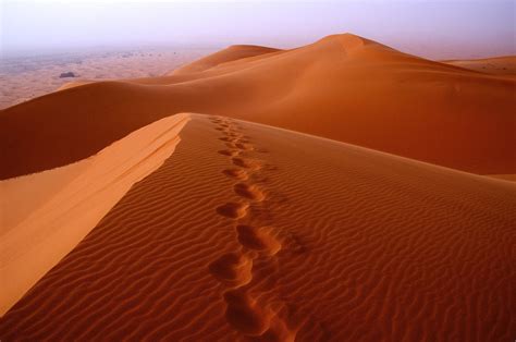 Sahara Desert Sand Dunes