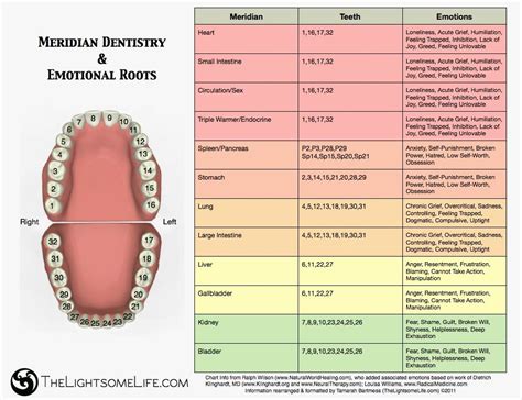 Teeth meridians emotions chart | Tooth chart, Holistic dentistry, Dentistry