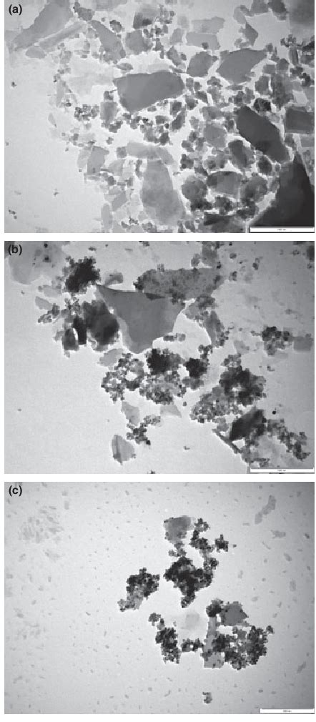 TEM micrographs of TiO 2 -zeolite 10% (a), Ag-TiO 2 zeolite 10% (b) and ...