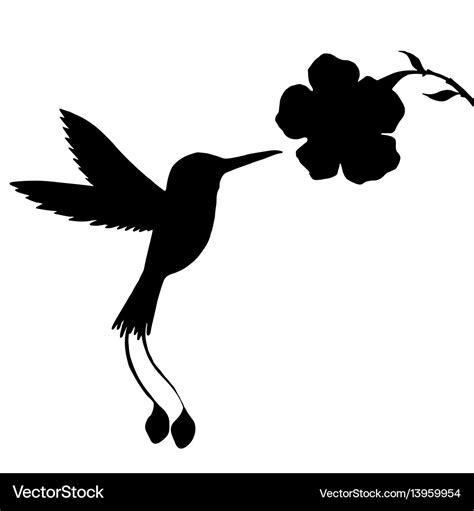 Hummingbird and flower silhouettes Royalty Free Vector Image