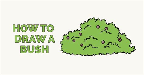 How to Draw a Bush - Really Easy Drawing Tutorial