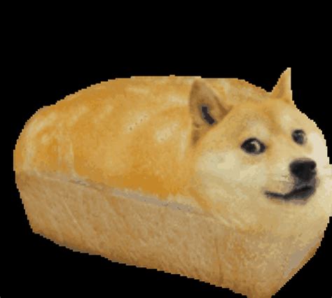 Doge Bread Meme - Doge Bread - Discover & Share GIFs