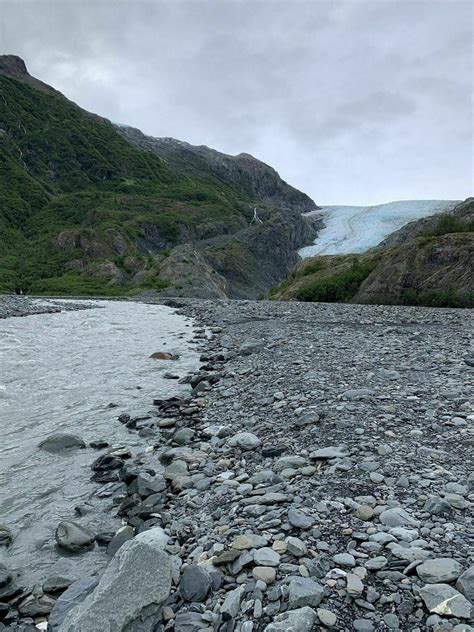 Exit Glacier Trail - Alaska | AllTrails