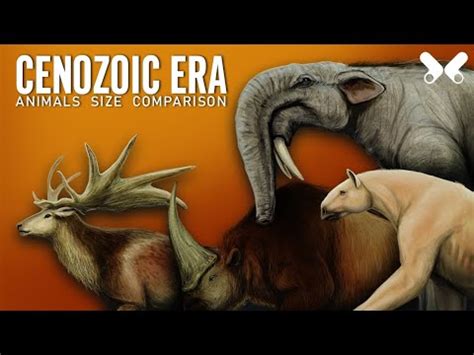 CENOZOIC ERA . Animals Size comparison. Paleoart - YouTube