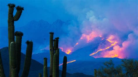 Bush Fire in the Tonto National Forest