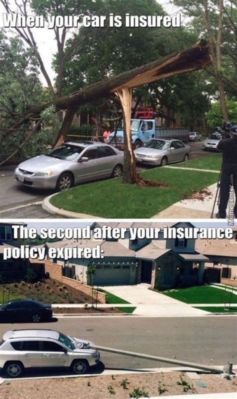 13 Most Hilarious Car Insurance Memes That Will Set Your Mood Right | Car insurance, Insurance ...