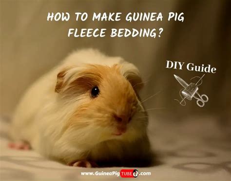 How to Make Guinea Pig Fleece Bedding? | DIY Guide - Guinea Pig Tube