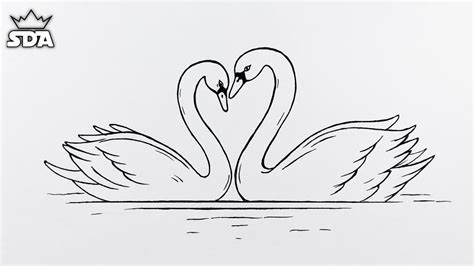 Swan Heart Drawing