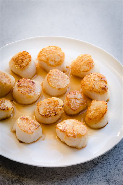 Creamy White Wine Scallops Pasta - Busy Cooks