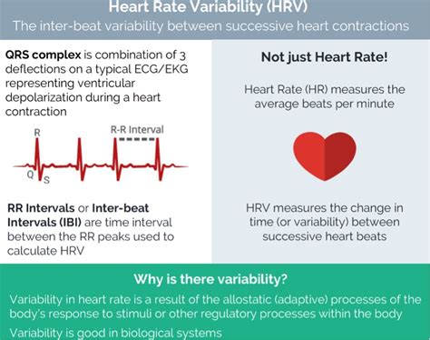 What the Heck is Heart Rate Variability? – iRunFar