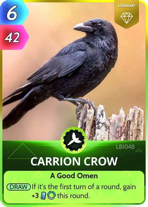 Carrion Crow