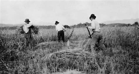 Extension History | North Carolina Cooperative Extension