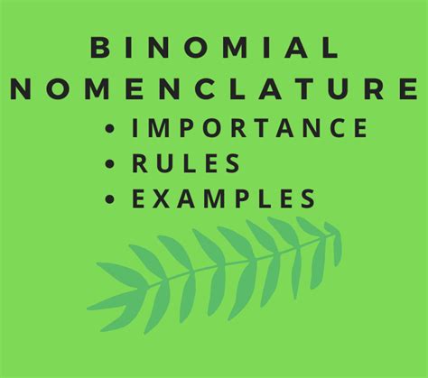 Binomial Nomenclature Examples Of Animals