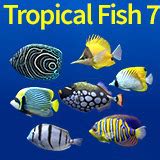 Tropical Fish 7