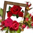 Rosas y Flores de Colores for Android - Download