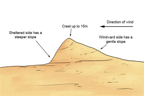 Sand Dune – Geography - Mammoth Memory Geography