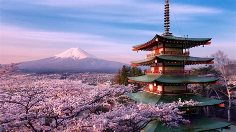 Free download | HD wallpaper: cherry blossom, volcano, mountain, fuji, mount fuji, spring ...