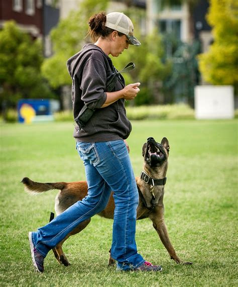 Focused Heeling For Competitive Dog Sports | The Collared Scholar