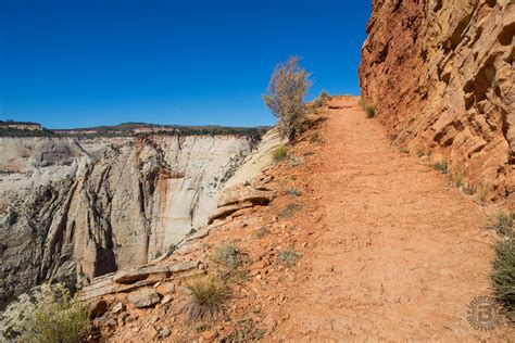 Meanderthals | Observation Point Trail, Zion National Park