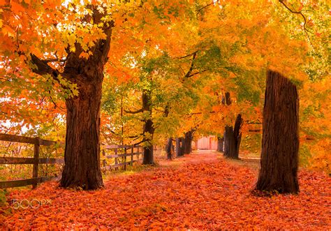 Windows XP Autumn wallpaper location by Joseph John - Photo 127151789 / 500px