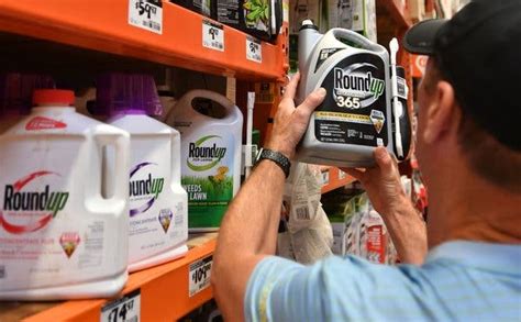 Monsanto Ordered to Pay $289 Million in Roundup Cancer Trial - The New ...