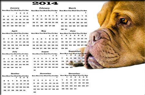 Dog Calendar 2014 Free Stock Photo - Public Domain Pictures