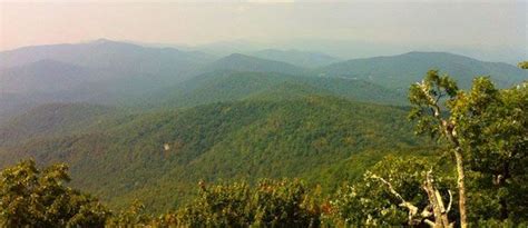 Blood Mountain Trail | Southern Appalachian Trail Georgia