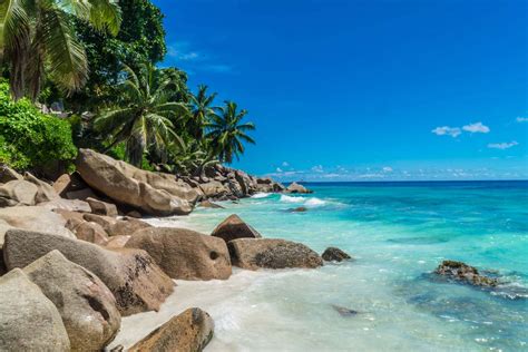 Seychelles Snorkeling: amazing marine life in Seychelles