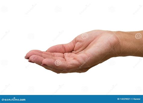 Holding Hands Stock Image - Image: 14229021