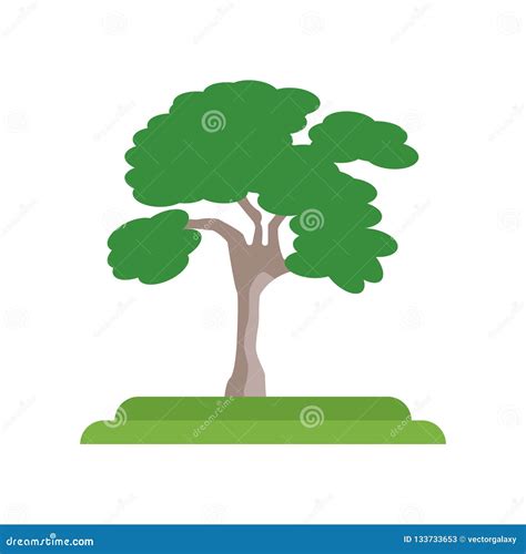 American Elm Tree Icon Vector Sign and Symbol Isolated on White Stock Vector - Illustration of ...