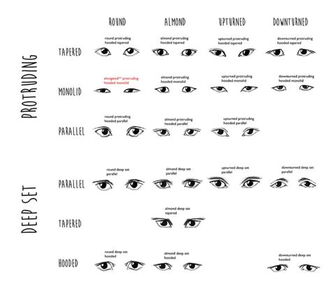 Wanna Know Which Faux Eyelashes Work Best for Your Eye Shape? | QMBeautique