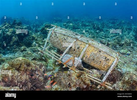 Traditional fish trap near Alor, Nusa Tenggara, Indonesia, Pacific ...