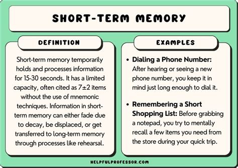 The 6 Types of Short-Term Memory (2024)