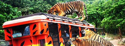 Zoobic Safari Admission Ticket in Subic from Manila, Philippines - Klook Philippines