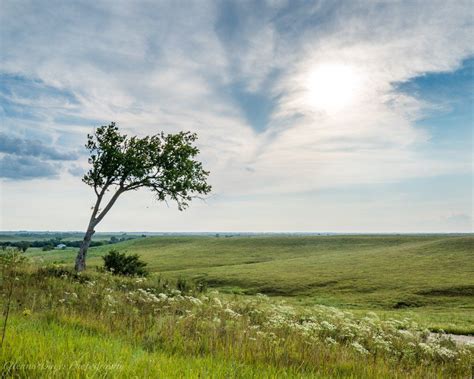 Kansas Grassy Landscape (0430) | Landscape, Landscape photography ...