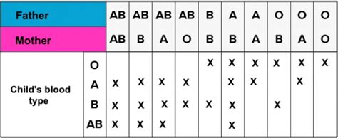 What Blood Types Can Ab- Donate To