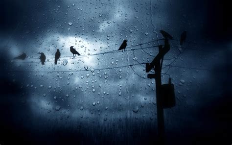 Live Rain Wallpaper - WallpaperSafari