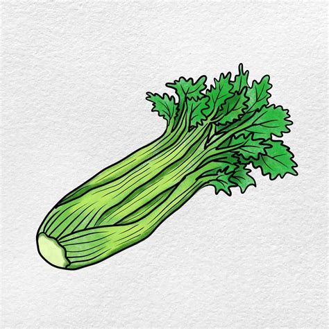 How to Draw Celery - HelloArtsy