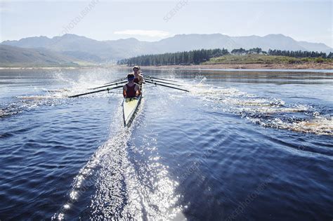 Rowing crew rowing scull on lake - Stock Image - F013/9891 - Science Photo Library