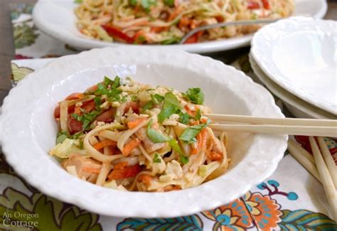 Spicy Chicken Noodle Salad - An Oregon Cottage