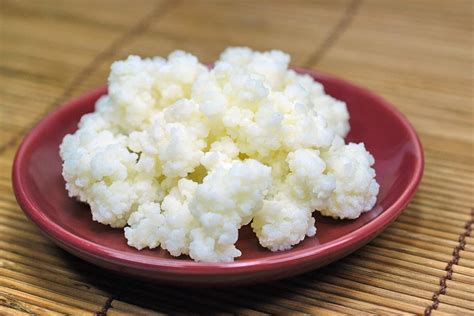 Milk Kefir Grains | wildbaker.co.uk