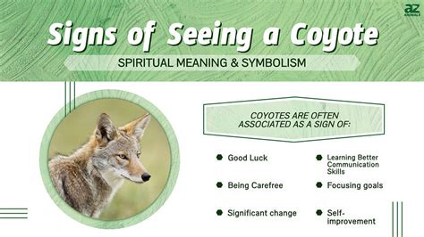 Spiritual meaning of a coyote