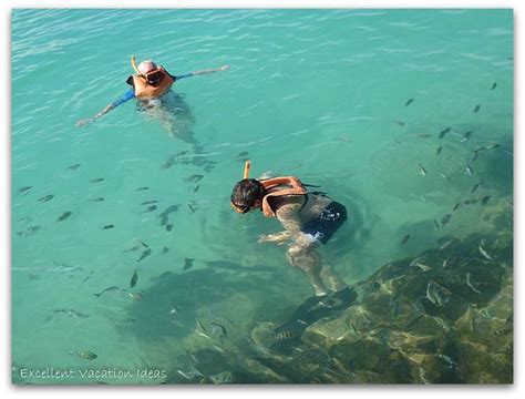 Snorkeling at Princess Cays Bahamas | Princess cays bahamas, Bahamas snorkeling, Bahamas