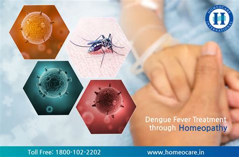 How Dengue Fever Affects on Health?