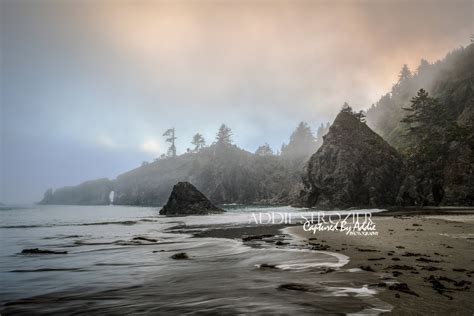 Print / Second Beach La Push Washington Twilight Photography Print - Etsy