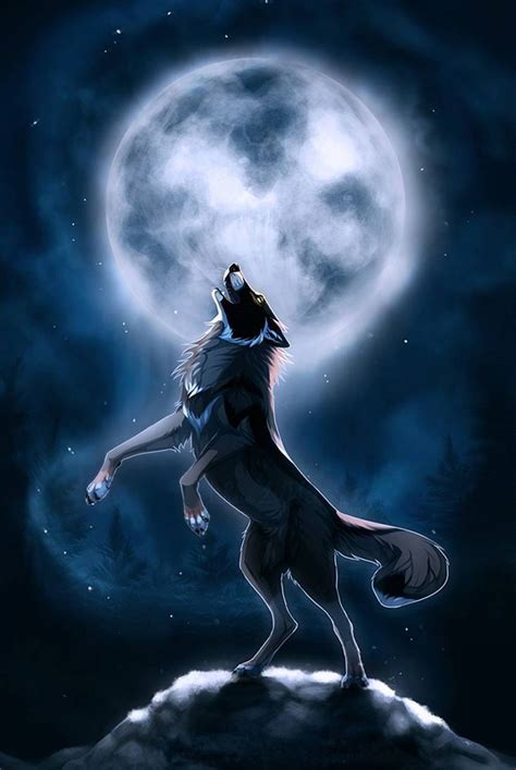 Aesthetic Wolf Wallpaper - KoLPaPer - Awesome Free HD Wallpapers